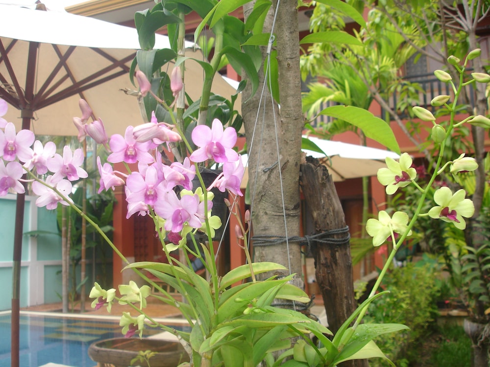 Jasmine Lodge