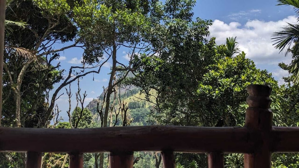 Nature Paradise Home Stay