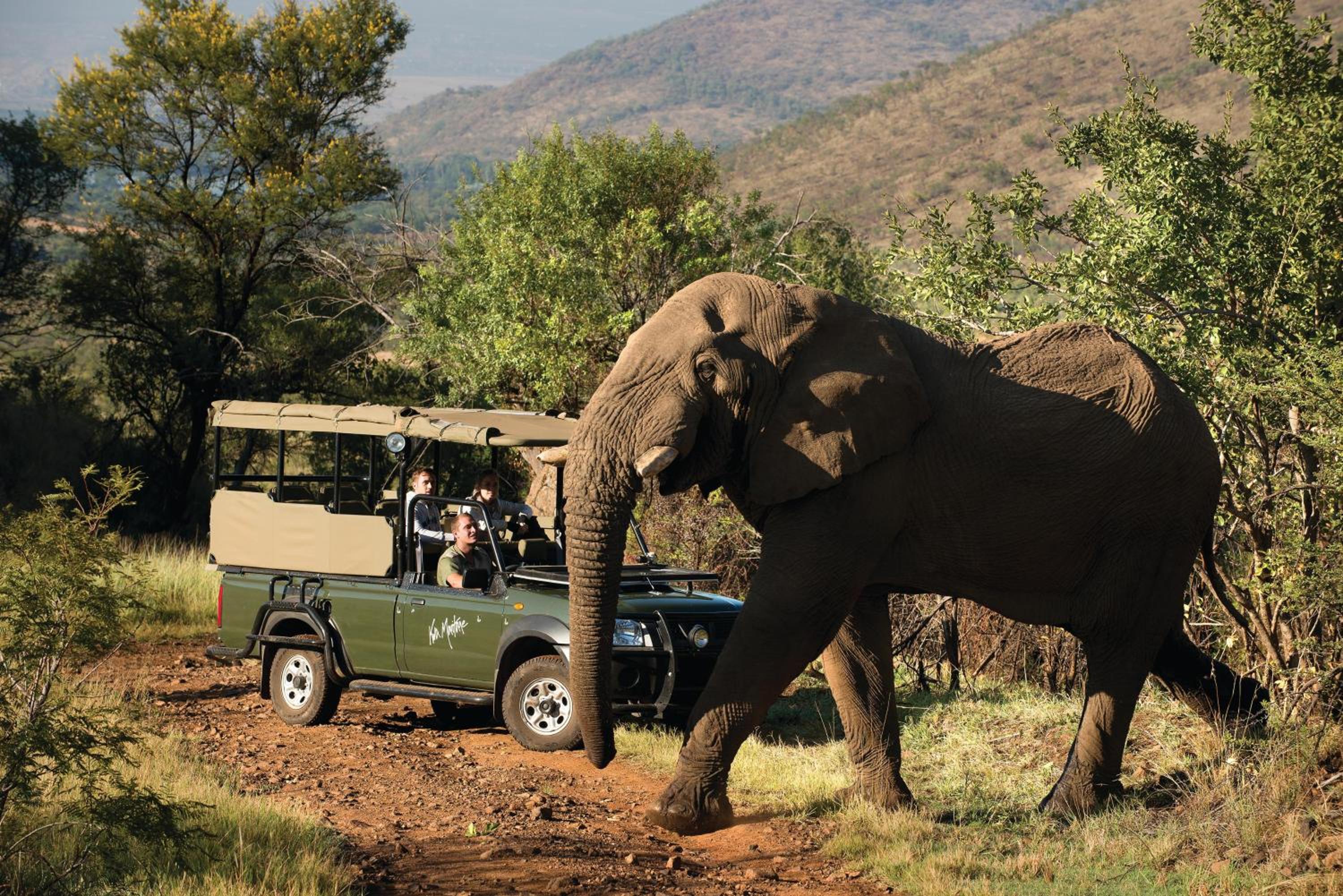 Hotel Kwa Maritane Bush Lodge, Südafrika, Pilanesberg. Großes 508