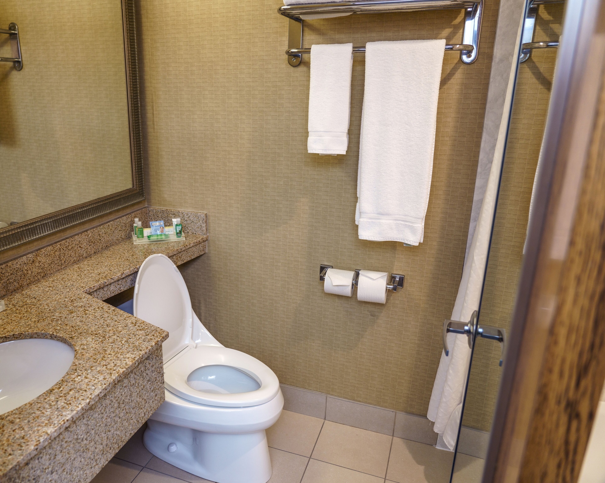 Hotel Holiday Inn New Orleans-Downtown Superdome, an IHG Hotel, USA, New Orleans. Großes 846