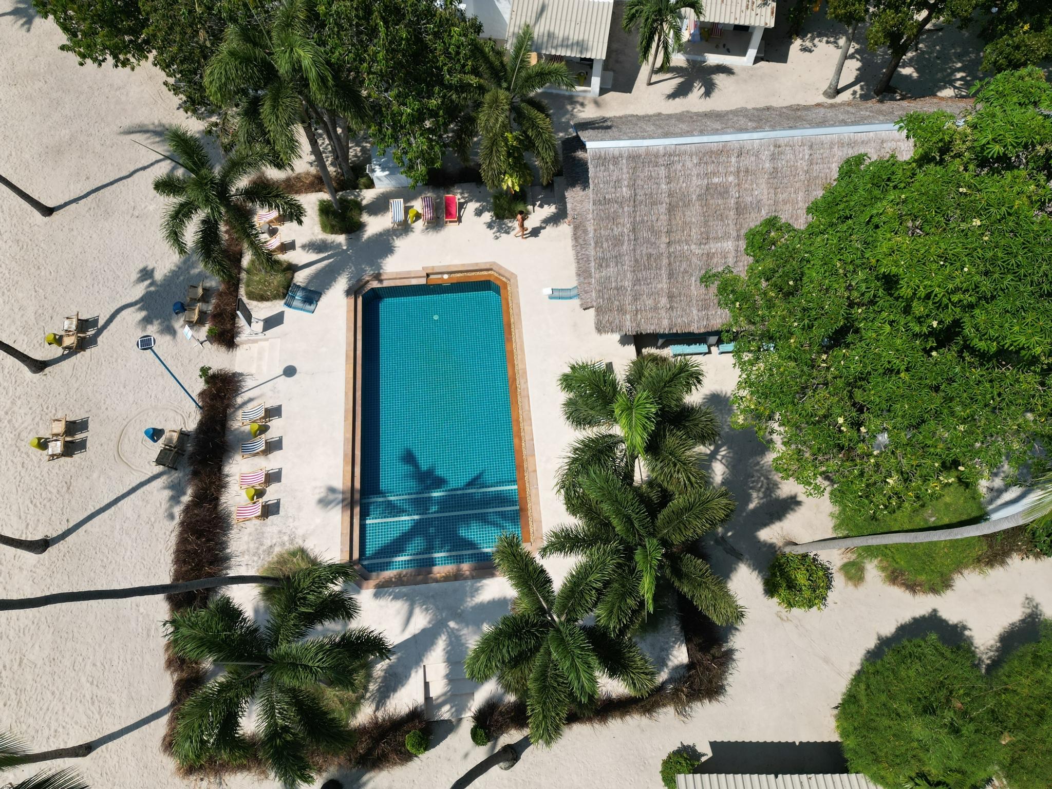 Hotel Lime N Soda Beachfront Resort, Thailand, Ko Pha-ngan. Großes 459