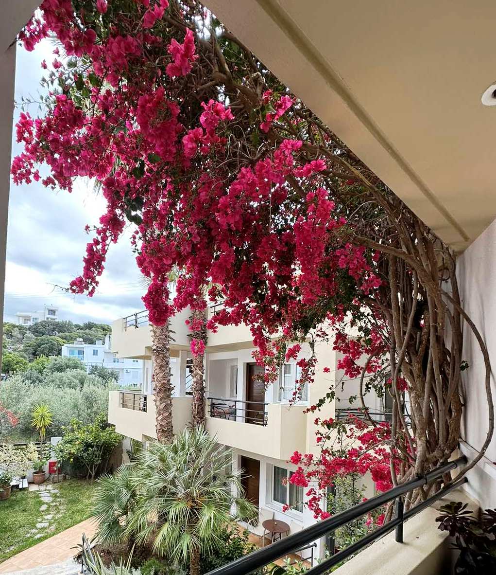 Hotel Faedra Beach Resort, Griechenland, Agios Nikolaos (Kreta). Großes 234