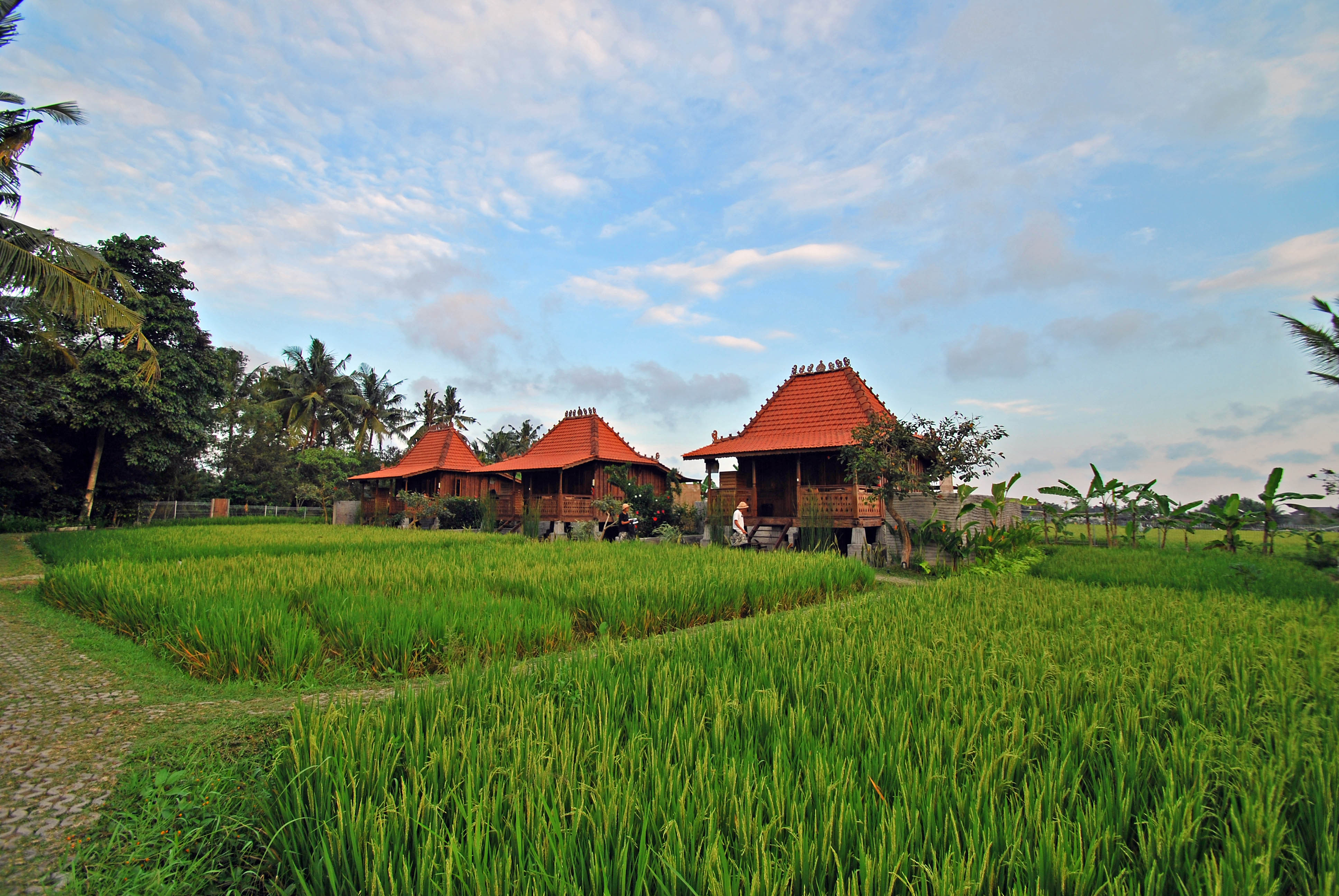 Hotel KajaNe Yangloni, Indonesien, Ubud. Großes 135