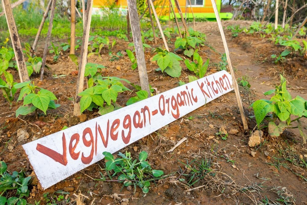 Begnas Yoga & Retreat