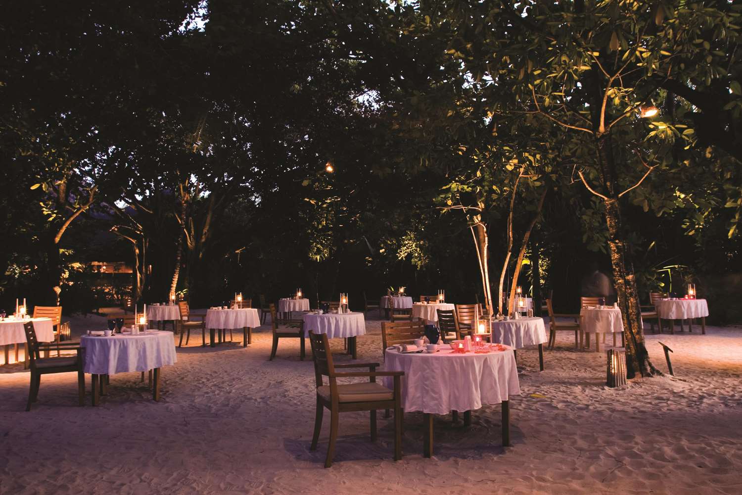 Hotel Coco Palm Dhuni Kolhu, Malediven, Dhunikolhu. Großes 58