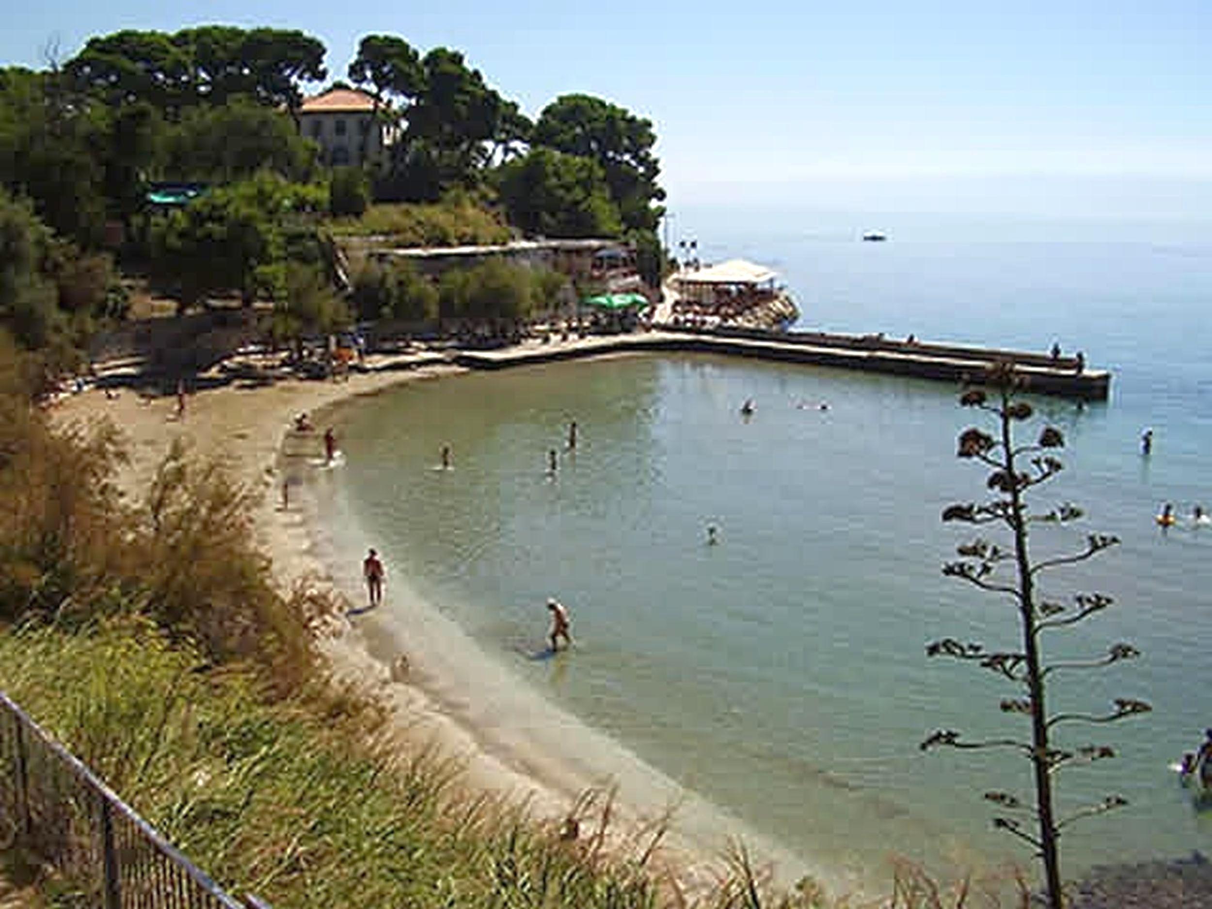 Apartments 4 You Split