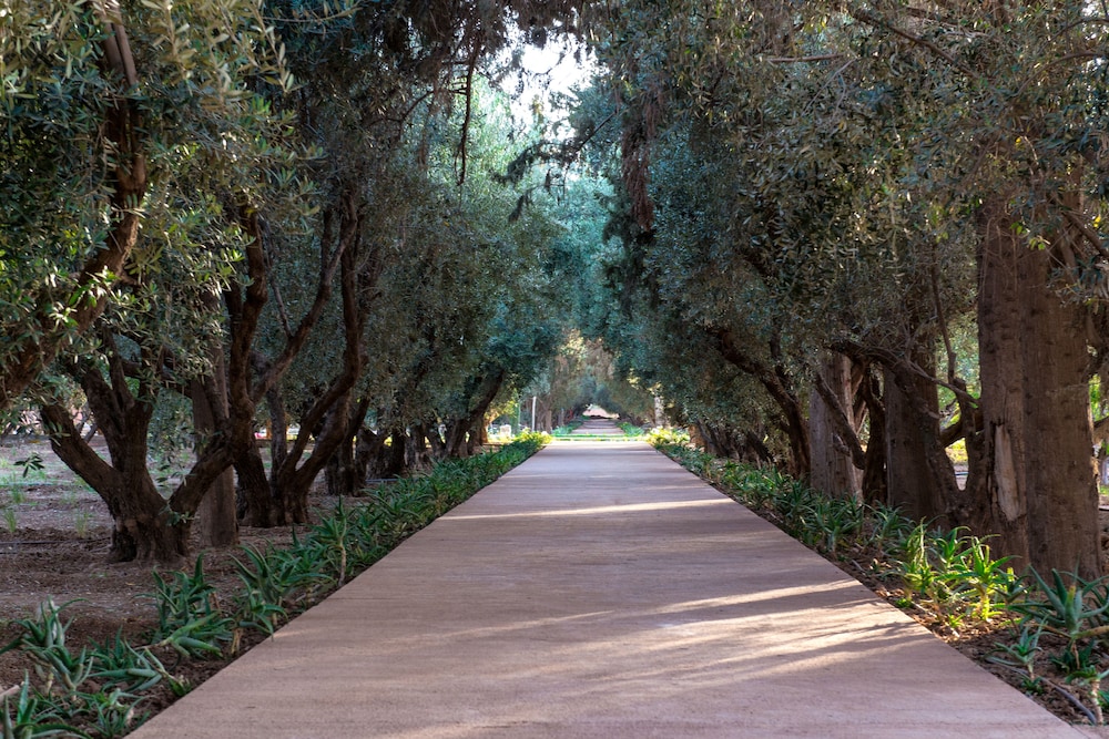 Hotel The Oberoi Marrakech, Marokko, Marrakesch. Großes 59