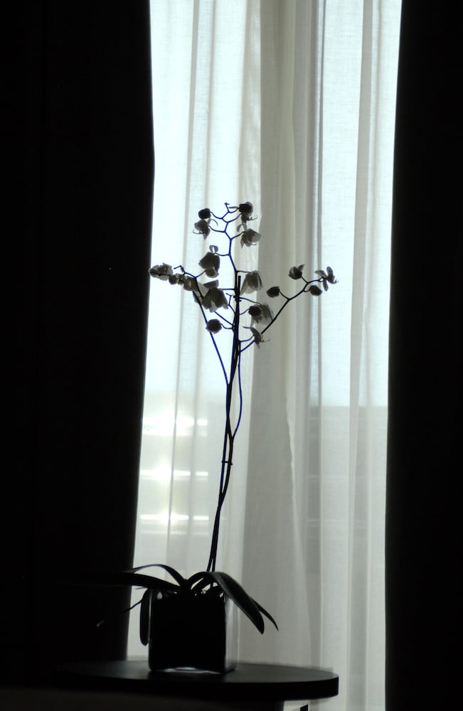 Hotel Protur Sa Coma Playa Hotel & Spa, Spanien, Sa Coma. Großes 1392