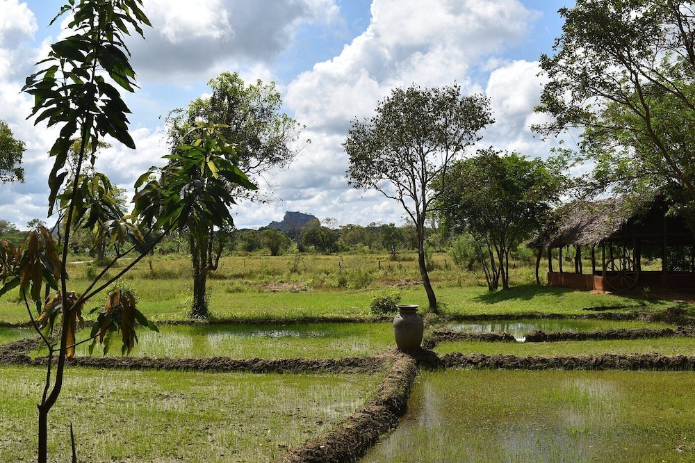 Hotel Kassapa Lions Rock, Sri Lanka, Digampathaha. Großes 195