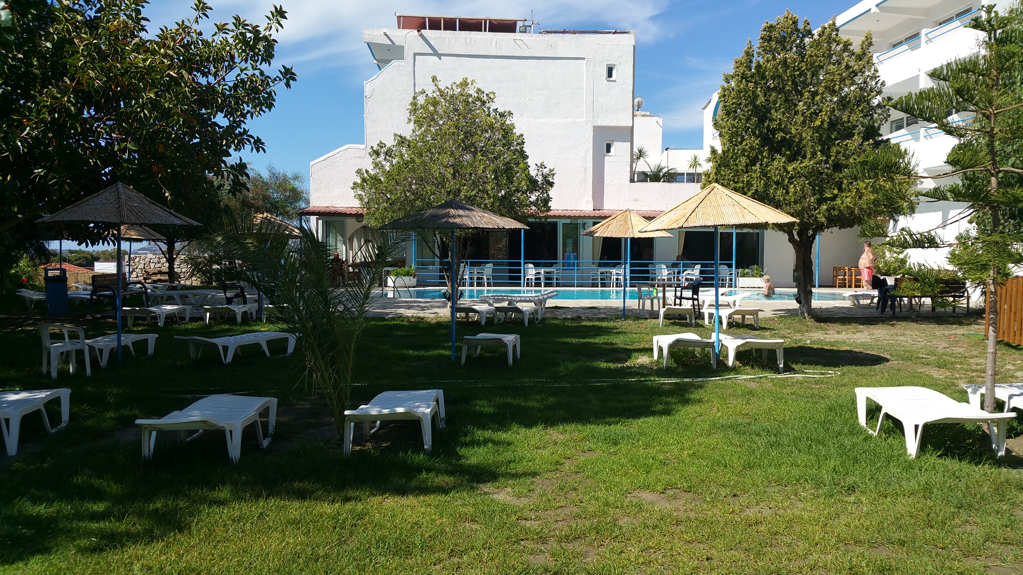 Celadi Vista (x Rodos Blue)