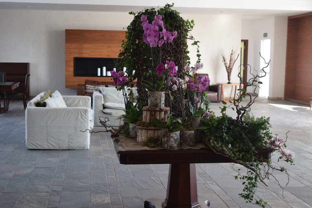 Hotel Amphora Hotel & Suites, Zypern, Paphos. Großes 174