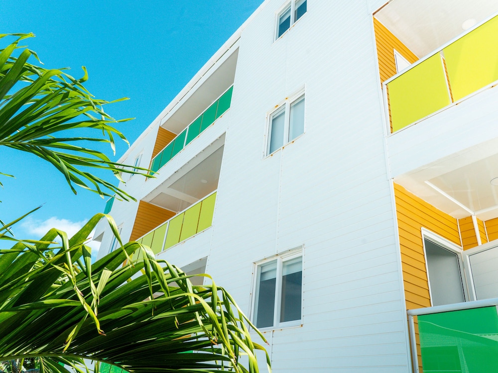 Caribbean Corals By Portofino