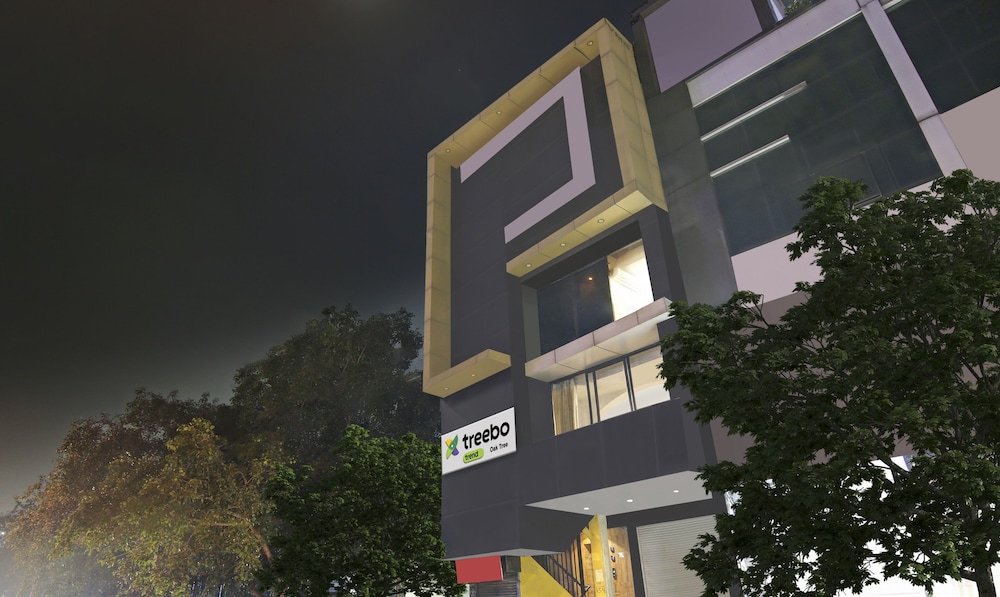 Treebo Trend Oak Tree