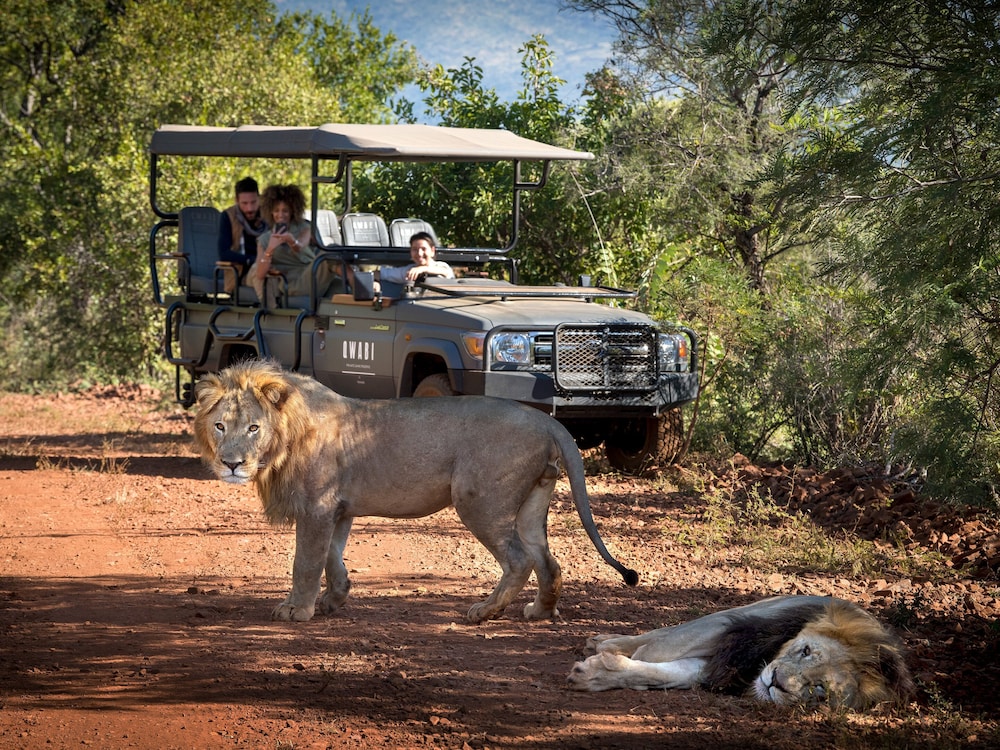 Hotel Babohi at Qwabi Private Game Reserve, Südafrika, Qwabi Private Game Reserve. Großes 54