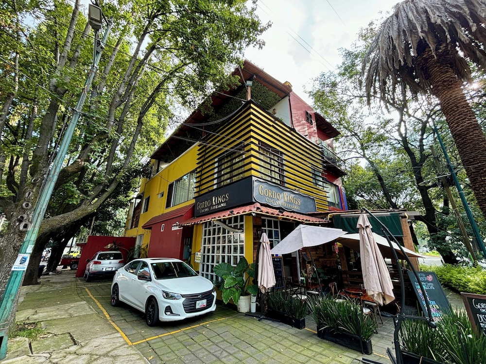 Collection O Casa Anzures Thematic, Mexico City