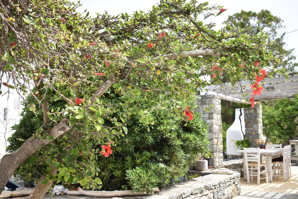 Andriani's Guest House