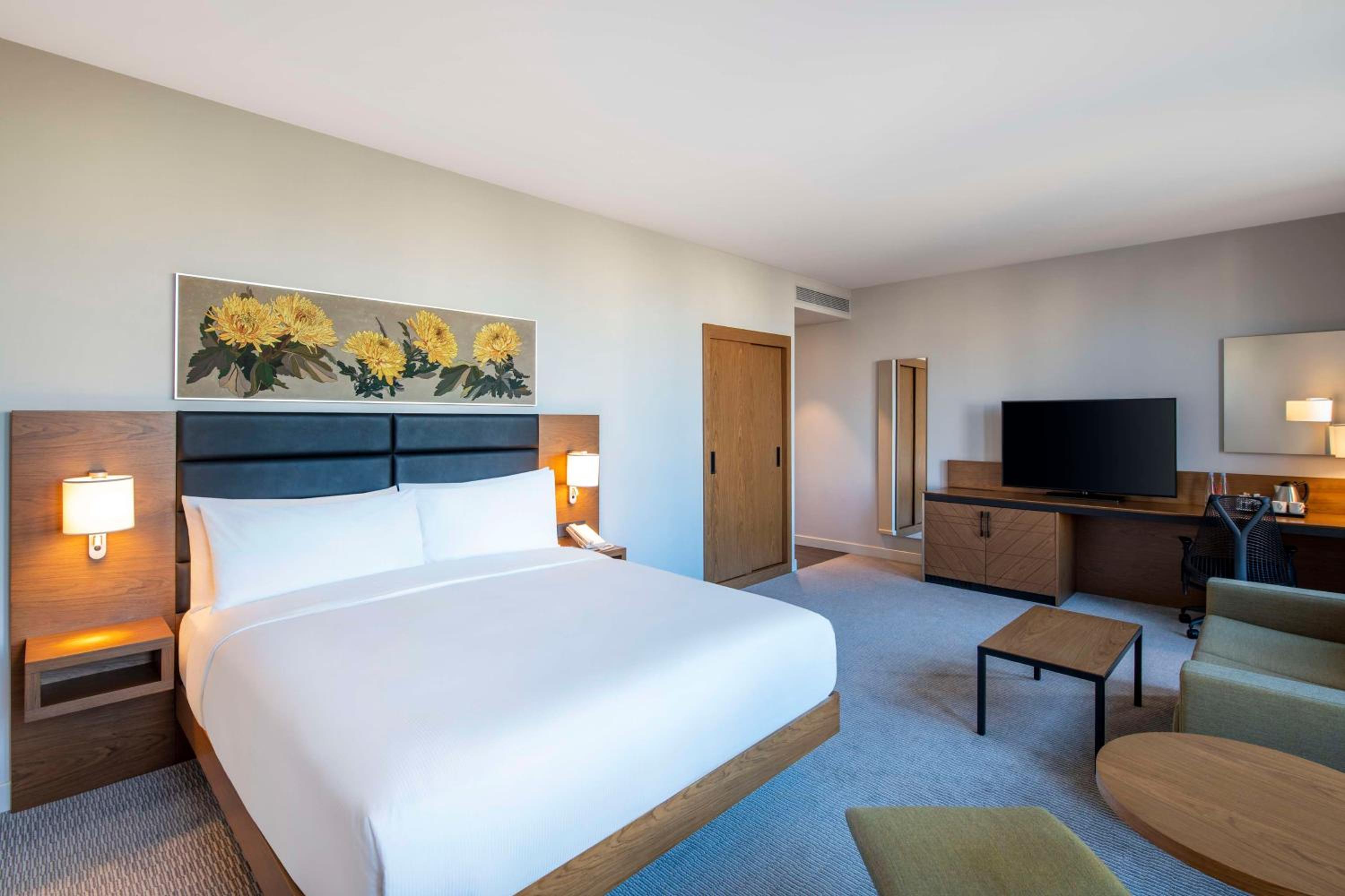 Hotel Hilton Garden Inn Tbilisi Chavchavadze, Georgien, Tiflis. Großes 522