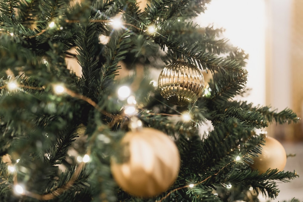 Hotel Hotel D Geneva, Schweiz, Genf. Großes 240