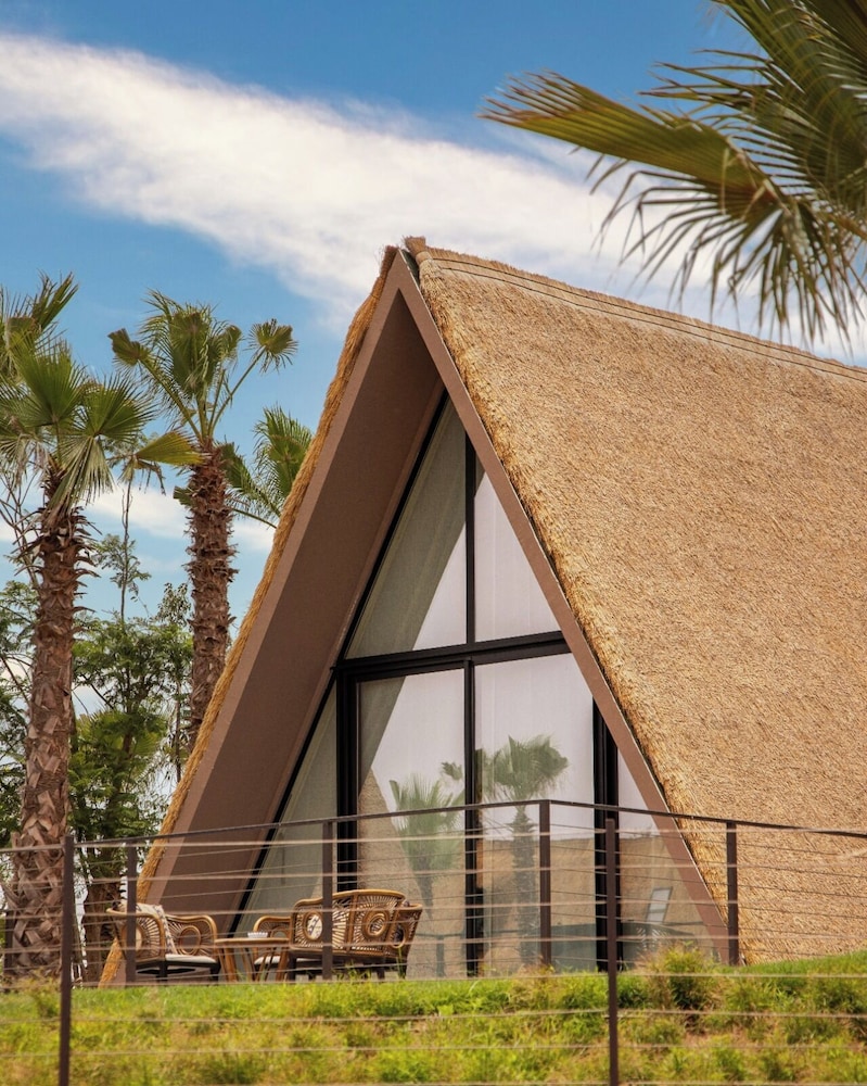 Domaine Villate Limoune