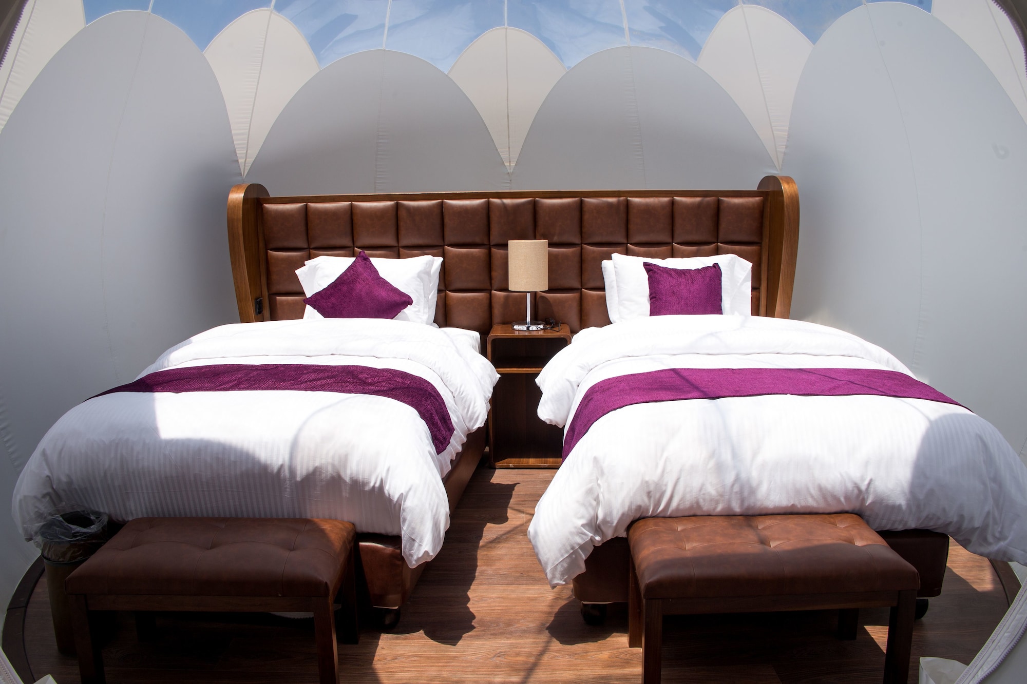 Hotel Petra Bubble Luxotel, Jordanien, Wadi Musa. Großes 2