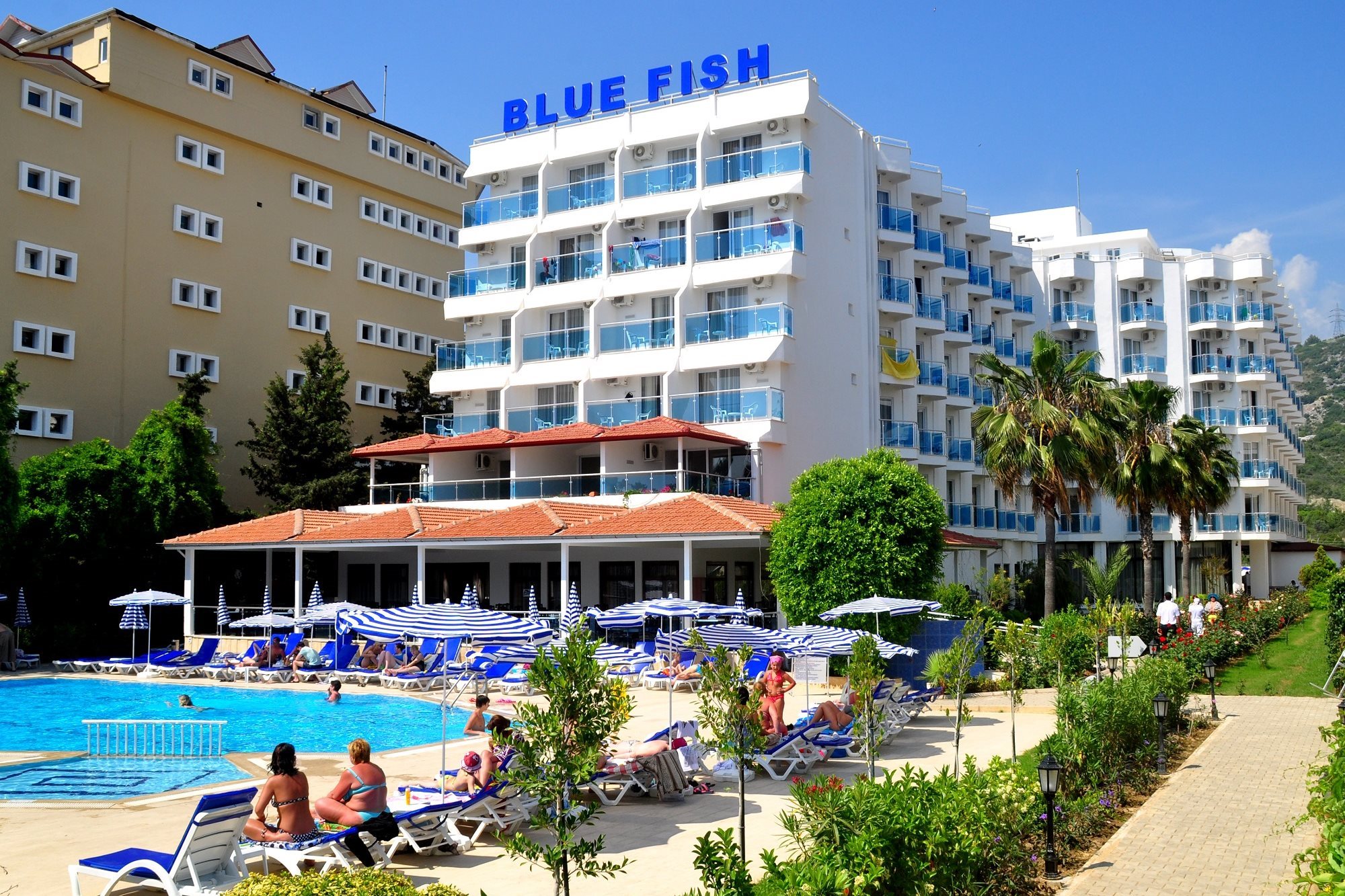 Bilder från hotellet Blue Fish Hotel - nummer 1 av 10