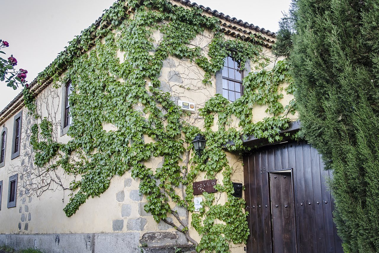 Hotel Hotel Rural Las Calas, Spanien, Vega de San Mateo. Großes 1