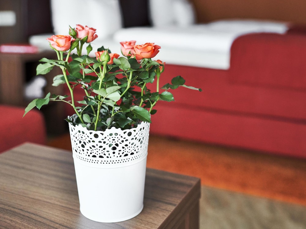 Hotellbilder av Hotel Restaurant Lamm - nummer 1 av 10