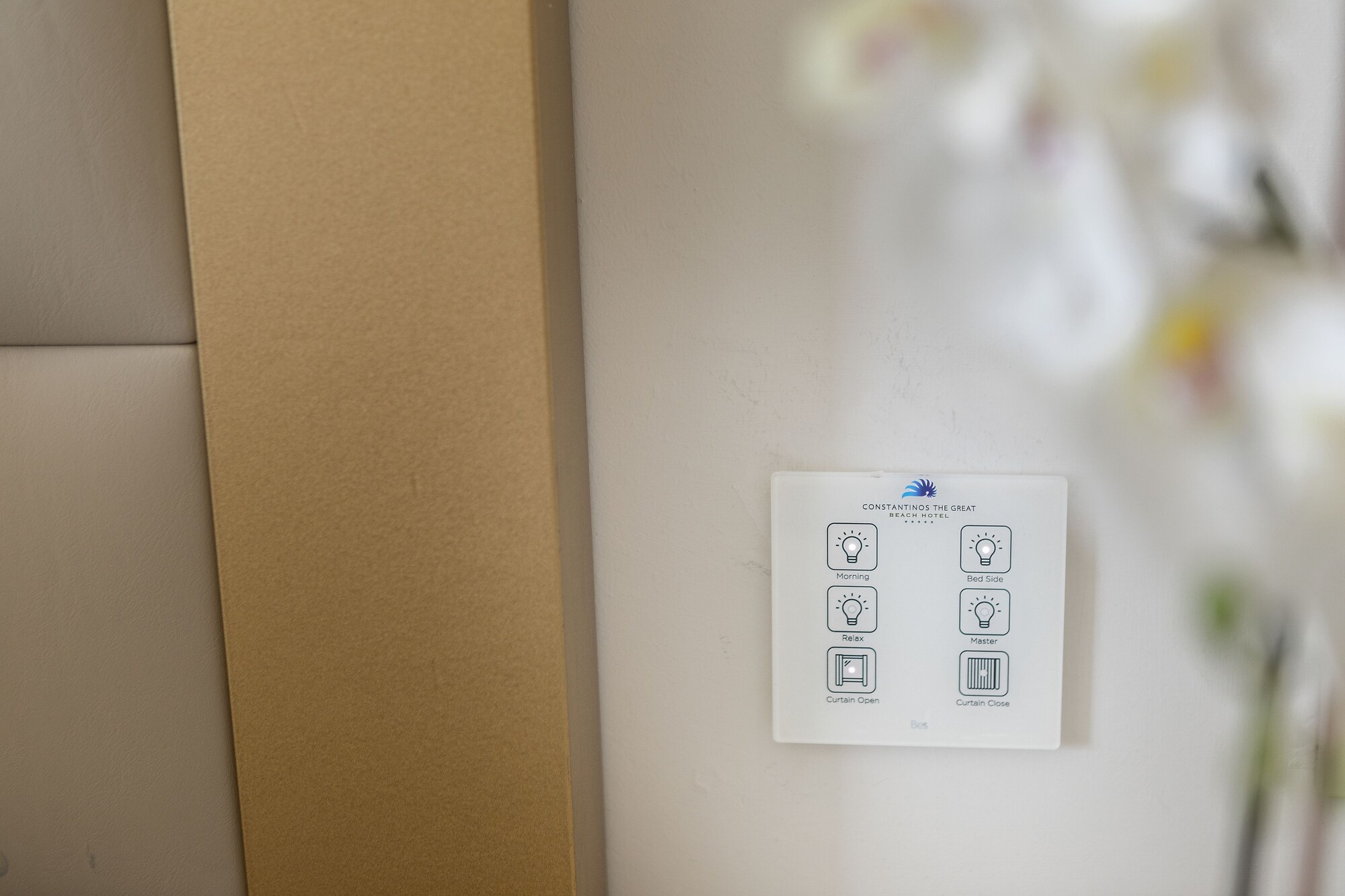 Bilder från hotellet Constantinos The Great Beach Hotel - nummer 1 av 66