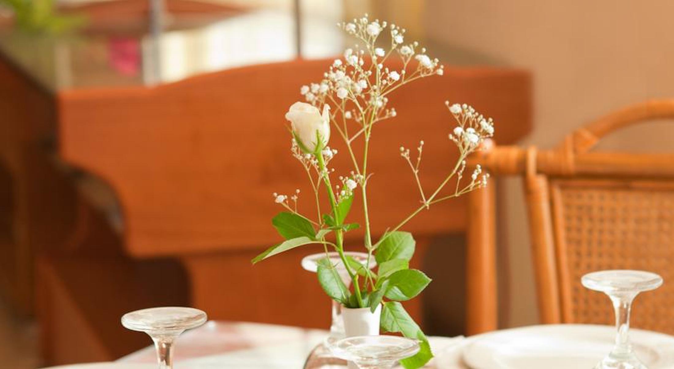 Hotellbilder av Dedalos Beach Hotel - nummer 1 av 73