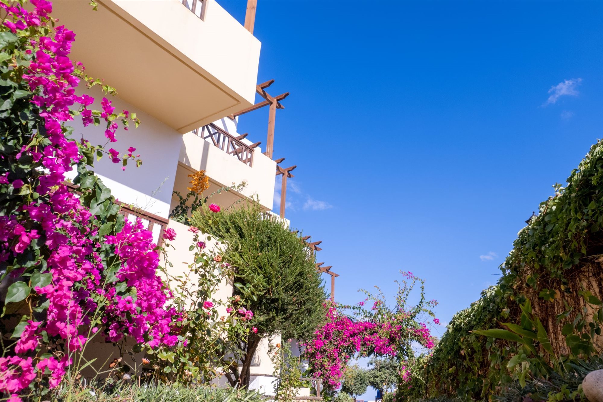 Billede av hotellet Dedalos Beach Hotel - nummer 1 af 10