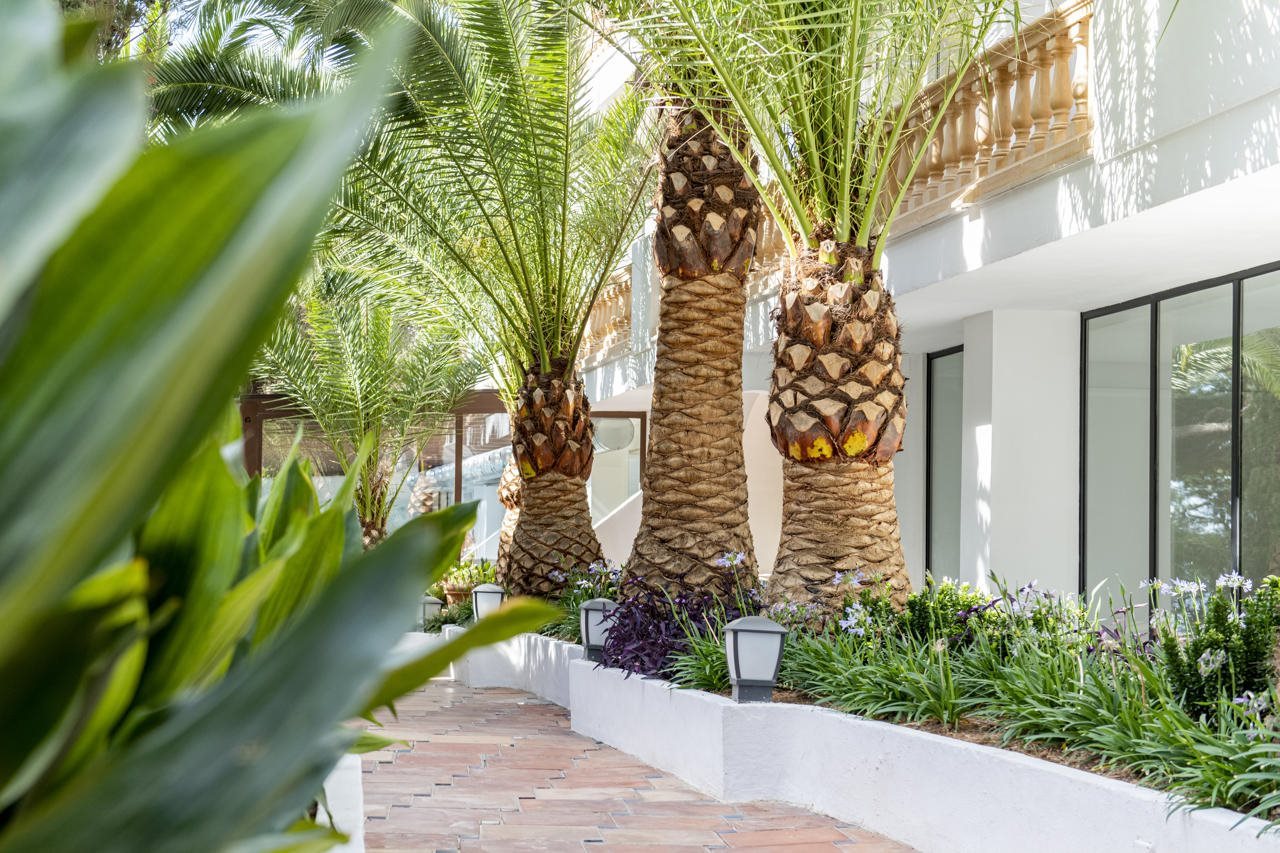 Hotellbilder av Hotel ROC Illetas & SPA - nummer 1 av 36
