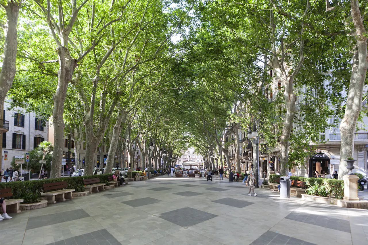 Hotel Nivia Born Boutique Hotel, Spanien, Palma de Mallorca. Großes 2