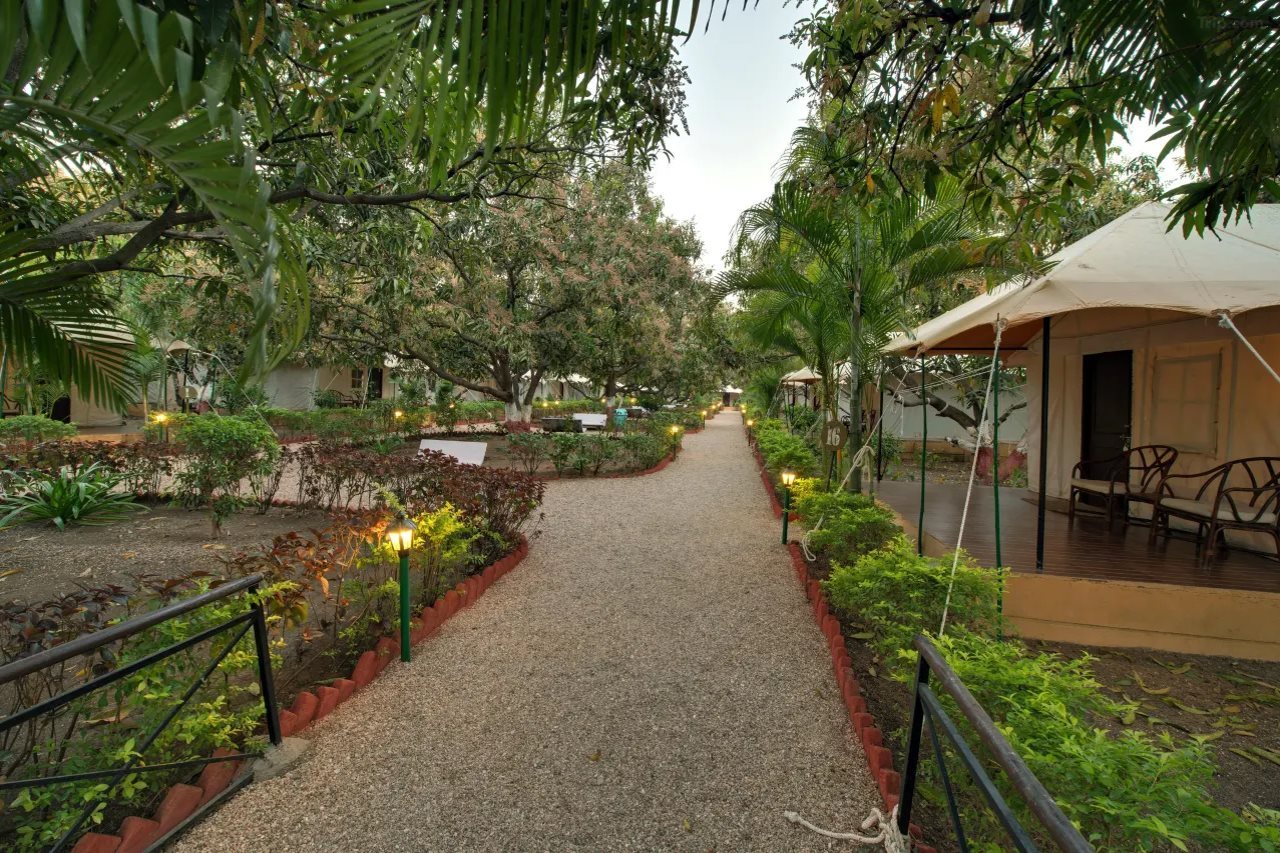 Hotel Gir Lion Safari Camp, Indien, Sasan Gir. Großes 1