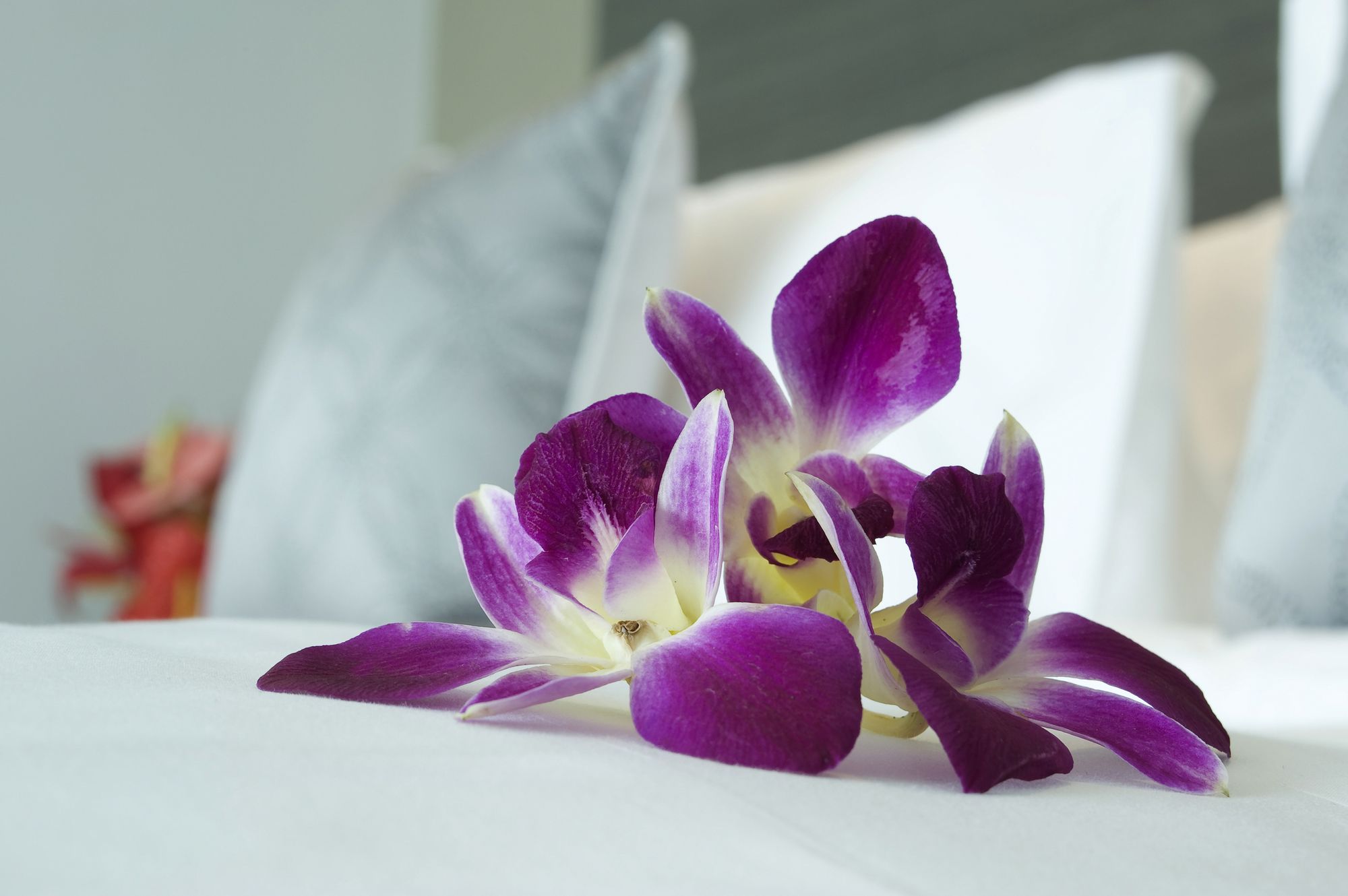 Hotel ibis Semarang Simpang Lima, Indonesien, Semarang. Großes 1