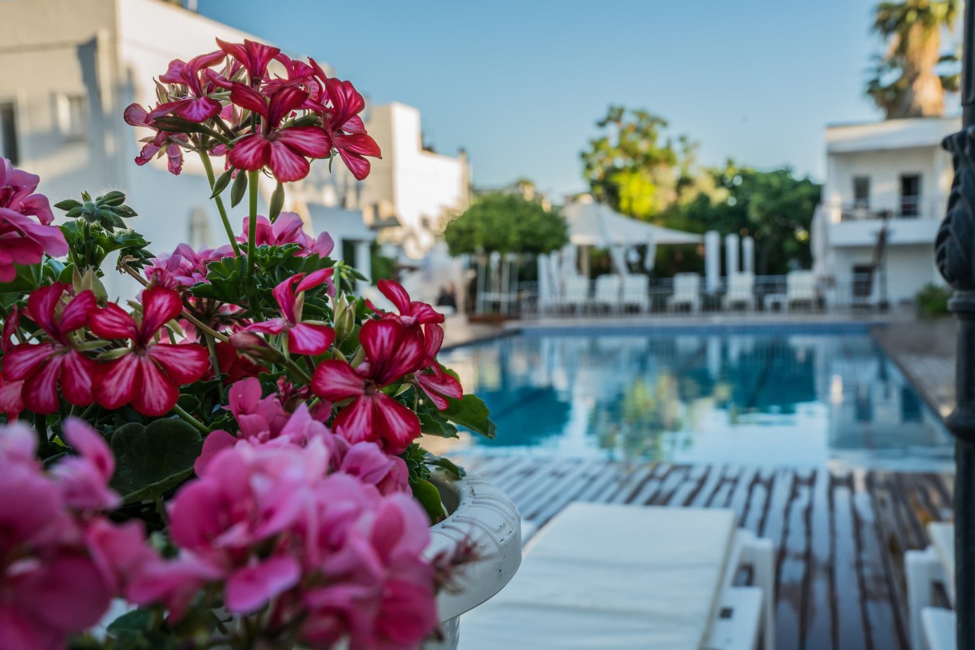 Bilder från hotellet Costa Maya Hotel - nummer 1 av 10