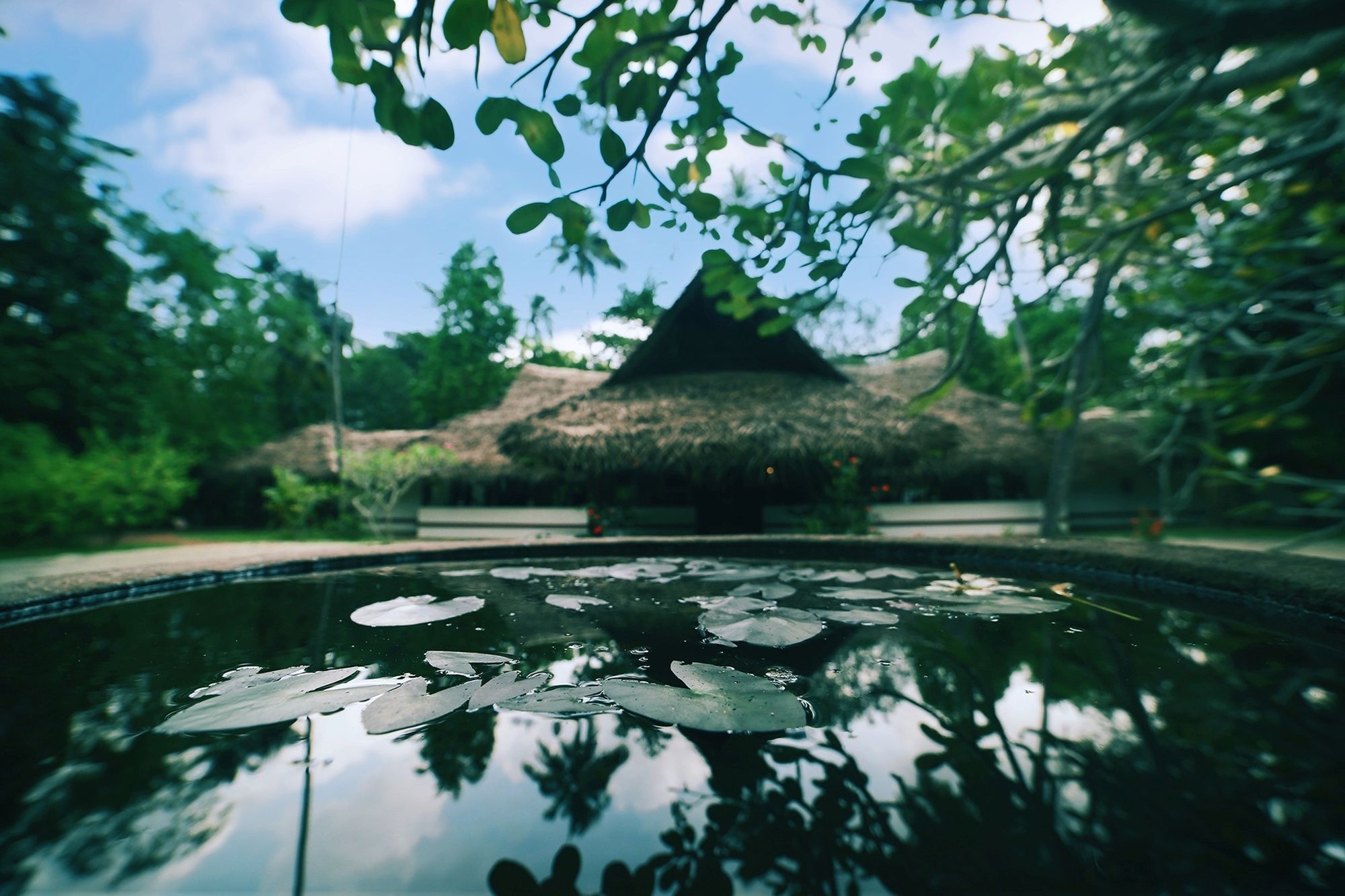 Hotel Marari Beach a CGH Earth Experience, Indien, Mararikulam. Großes 1