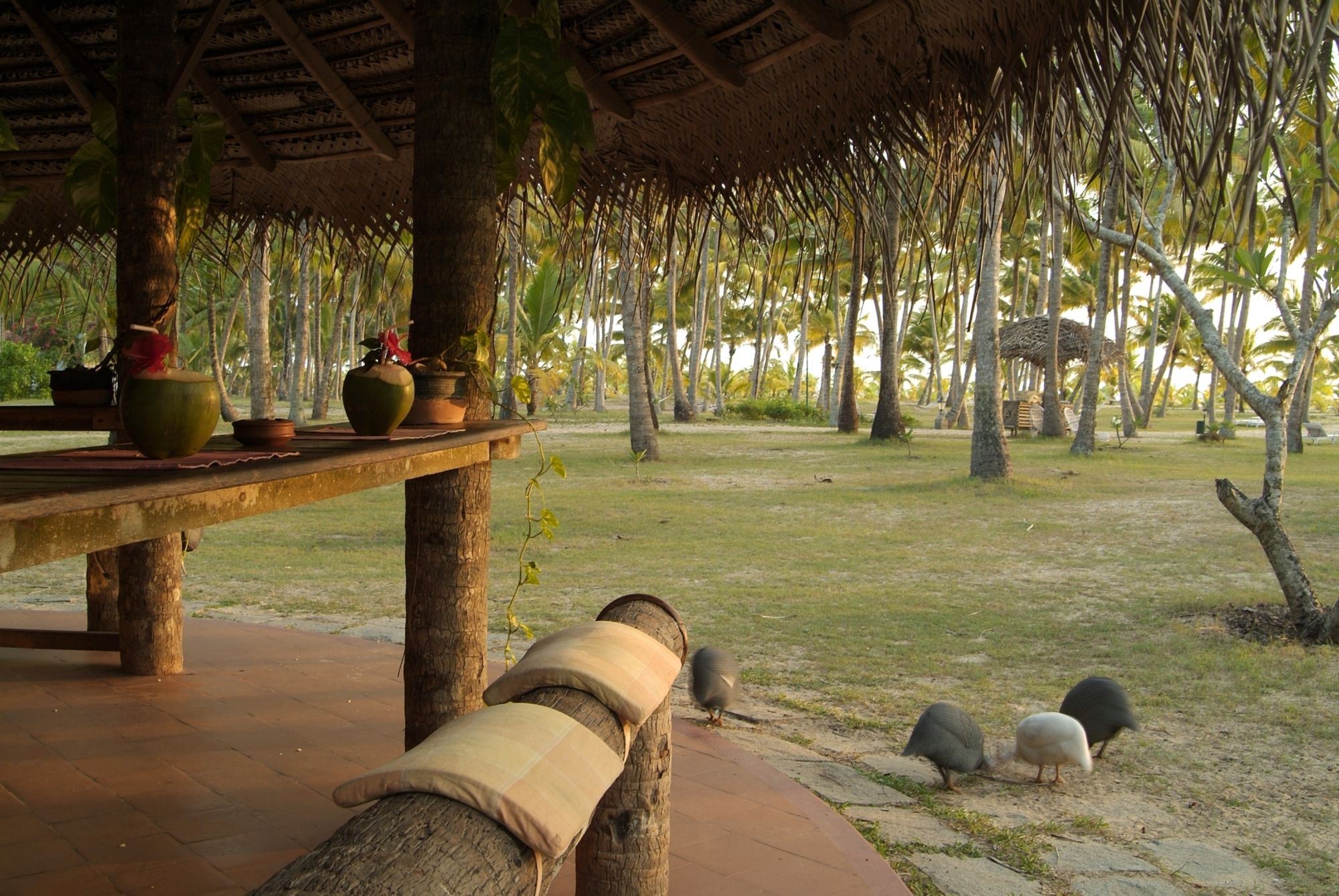 Hotel Marari Beach a CGH Earth Experience, Indien, Mararikulam. Großes 2