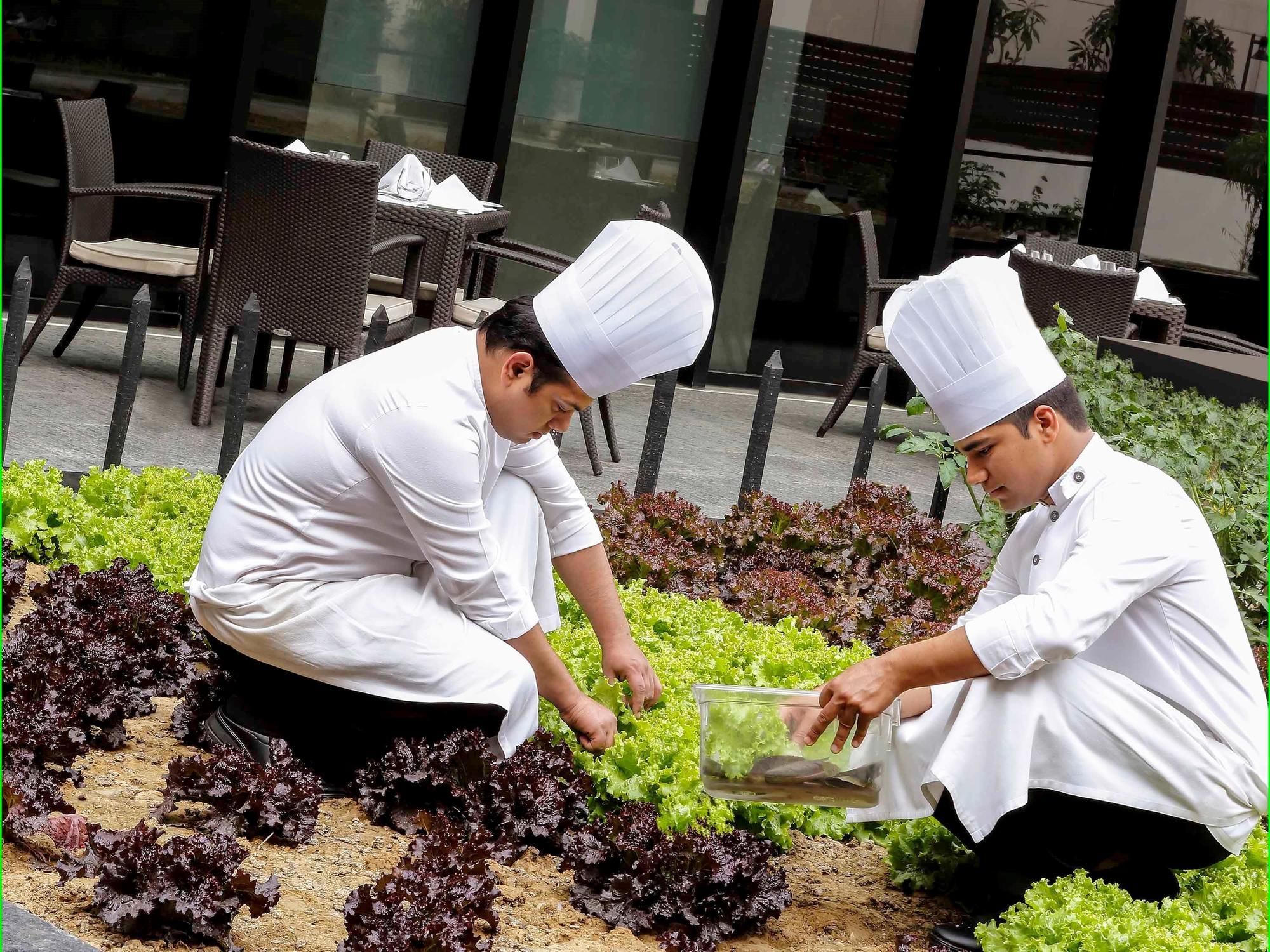 Hotel Pullman New Delhi Aerocity, Indien, Delhi. Großes 2