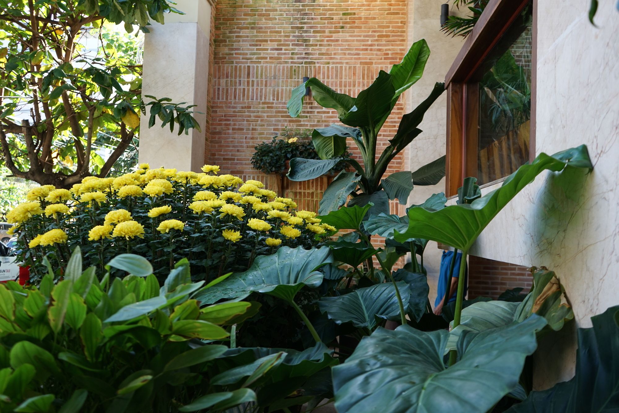 Hotellbilder av SeaSing Boutique Hotel - nummer 1 av 10