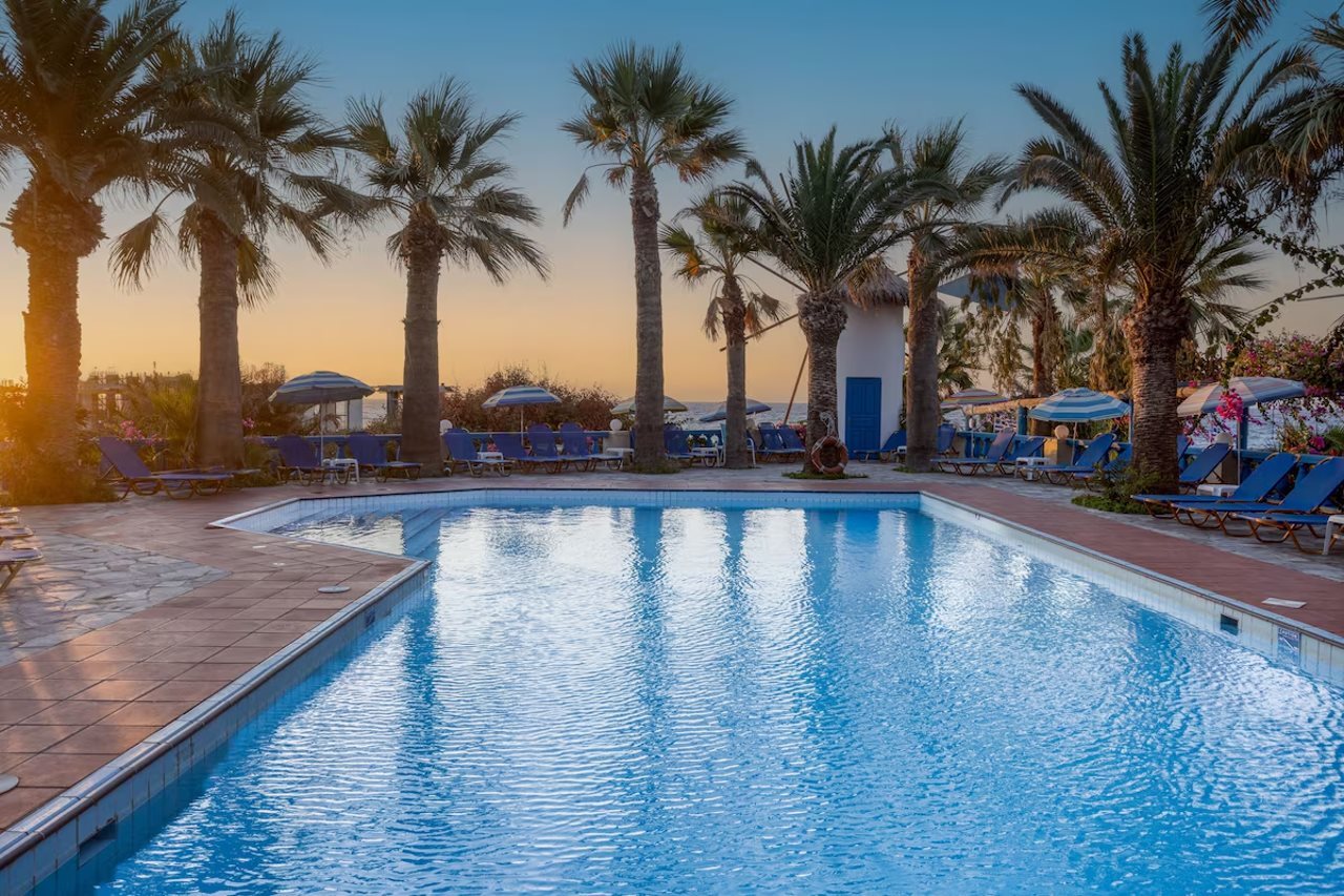 Bilder från hotellet Palm Bay - nummer 1 av 39