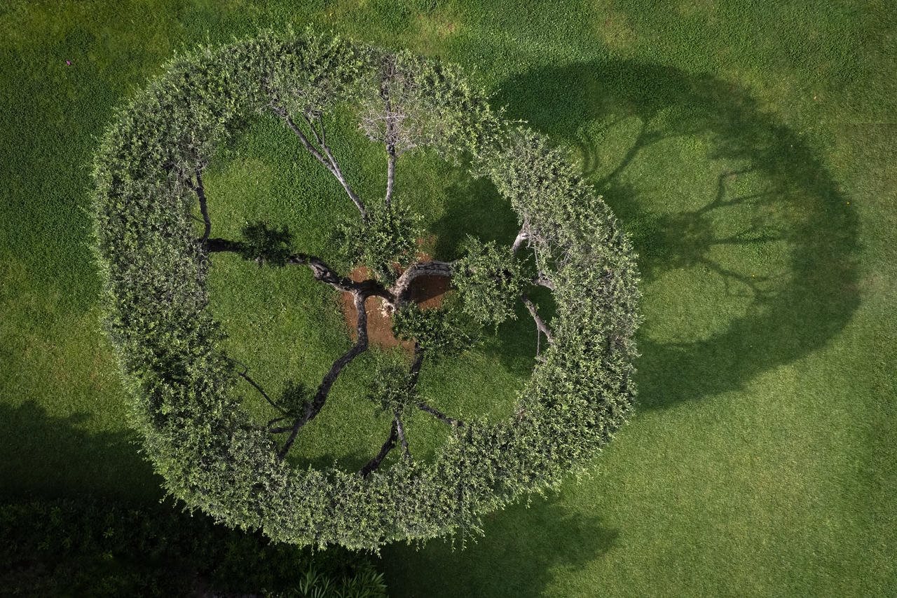 Bilder från hotellet Mitsis Bali Paradise - nummer 1 av 10