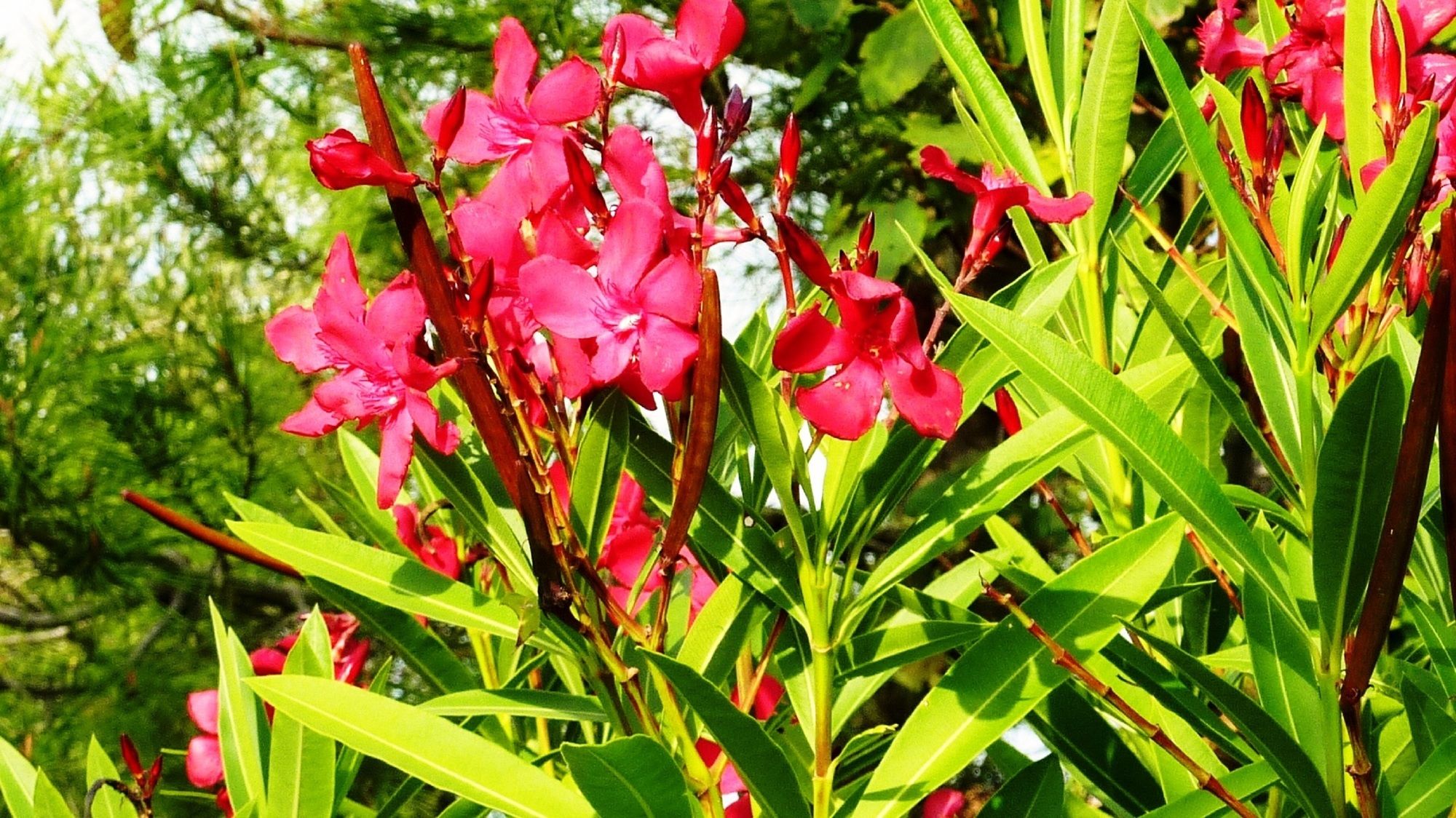 Hotel Art Blue Villas, Griechenland, Tsoukalades. Großes 2