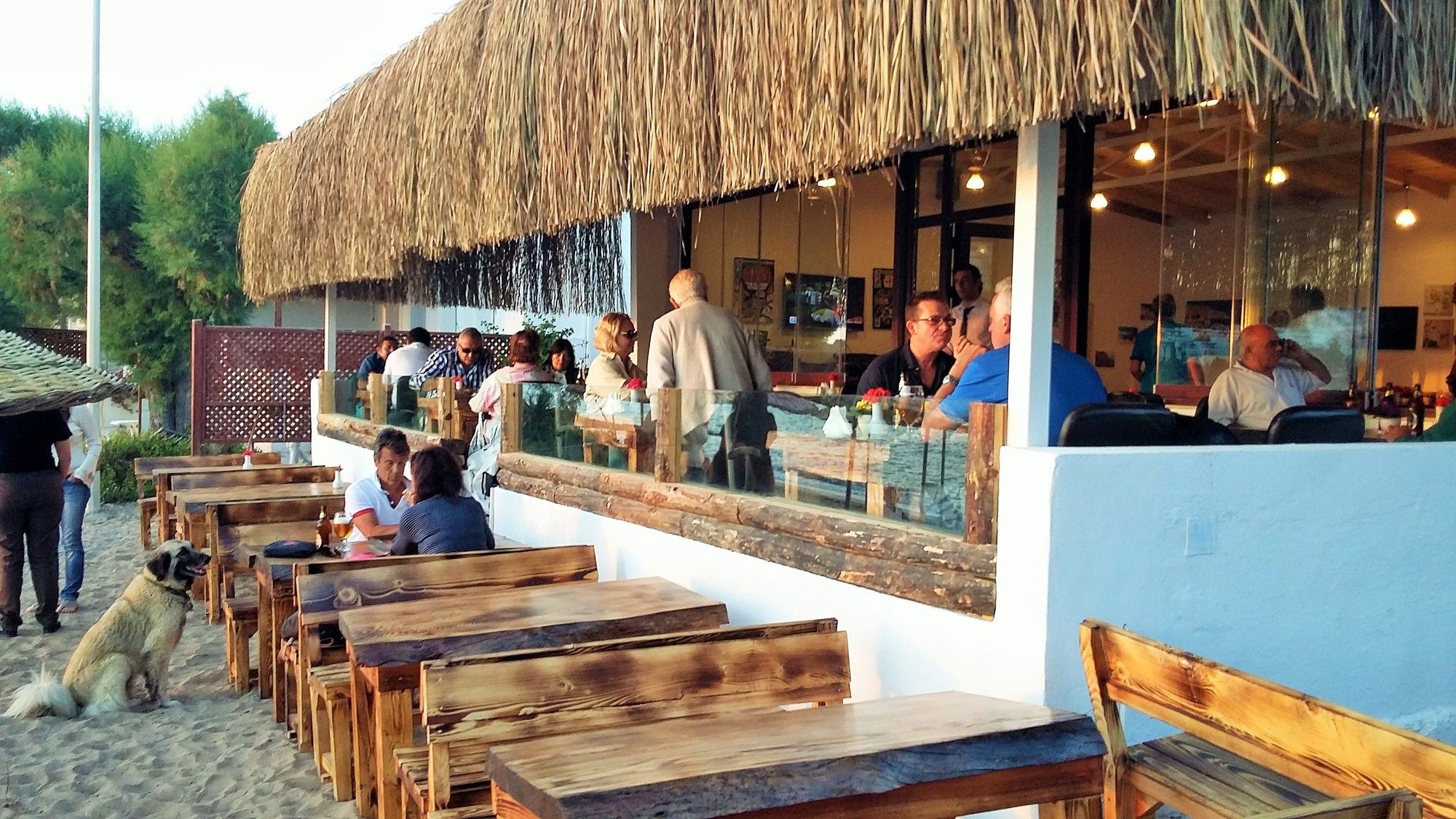 Bilder från hotellet Pitos Bungalows - nummer 1 av 10