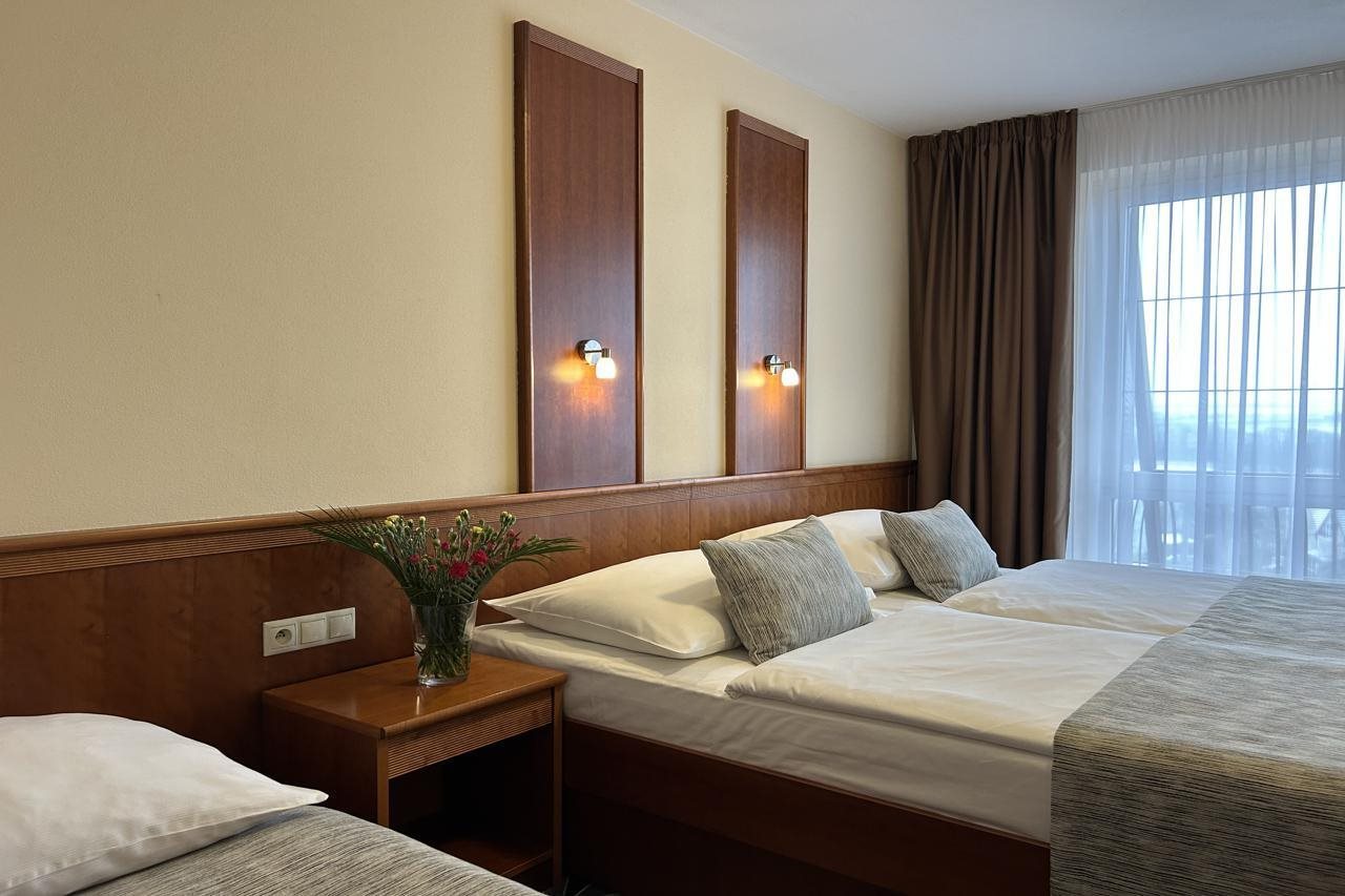 Hotel Primavera Hotel & Congress centre, Tschechische Republik, Pilsen. Großes 411