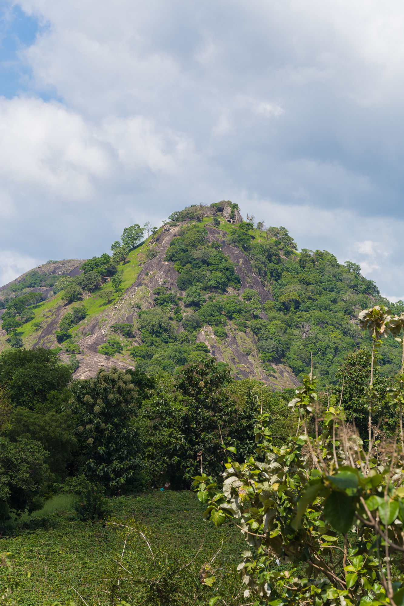 Hotel Jetwing Lake, Sri Lanka, Dambulla. Großes 2