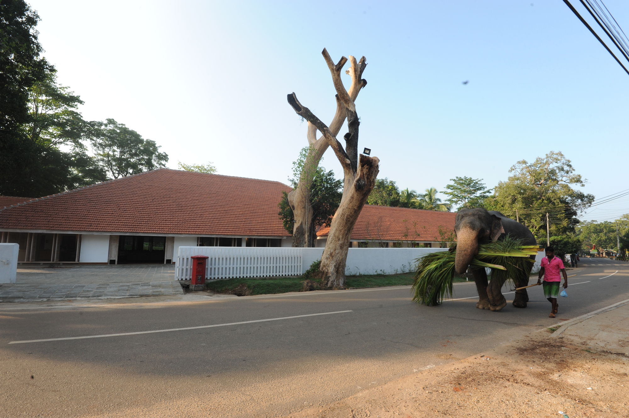 Hotel EKHO Sigiriya ( x Zinc Journey Sigiriya), Sri Lanka, Sigiriya. Großes 1
