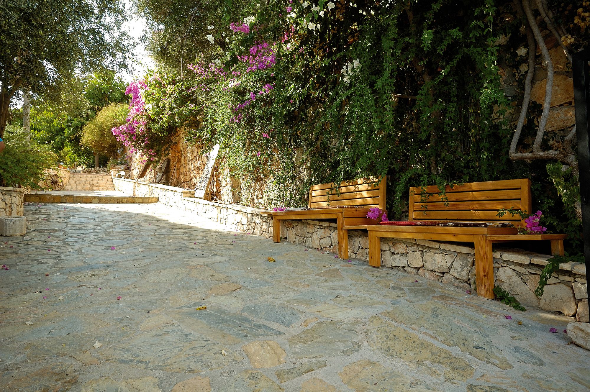 Bilder från hotellet Lycia Hotel - nummer 1 av 10